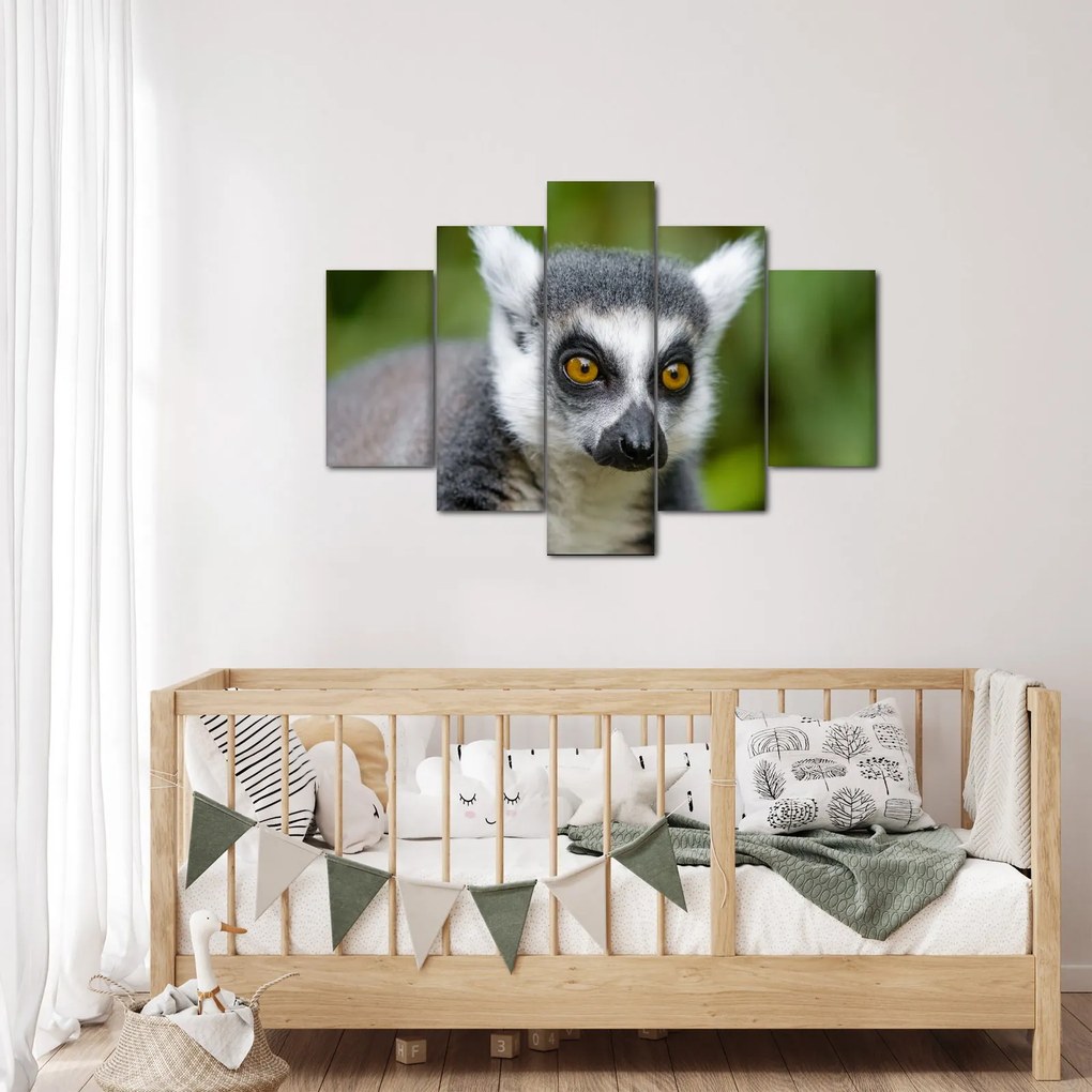 Tablou cu lemur (150x105 cm)