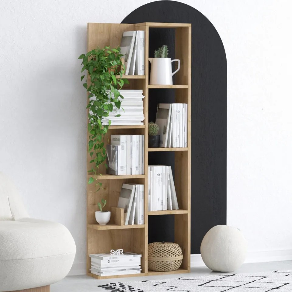 Biblioteca Living Lily, Stejar