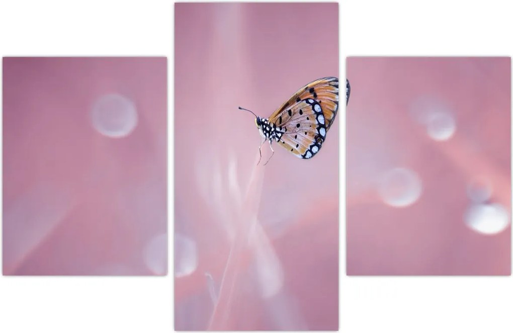 Tablou - Fluture (90x60 cm)