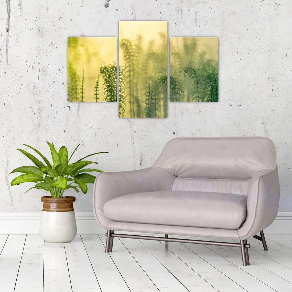 Tablou - Detaliu de primăvară natura cețoasă (90x60 cm)