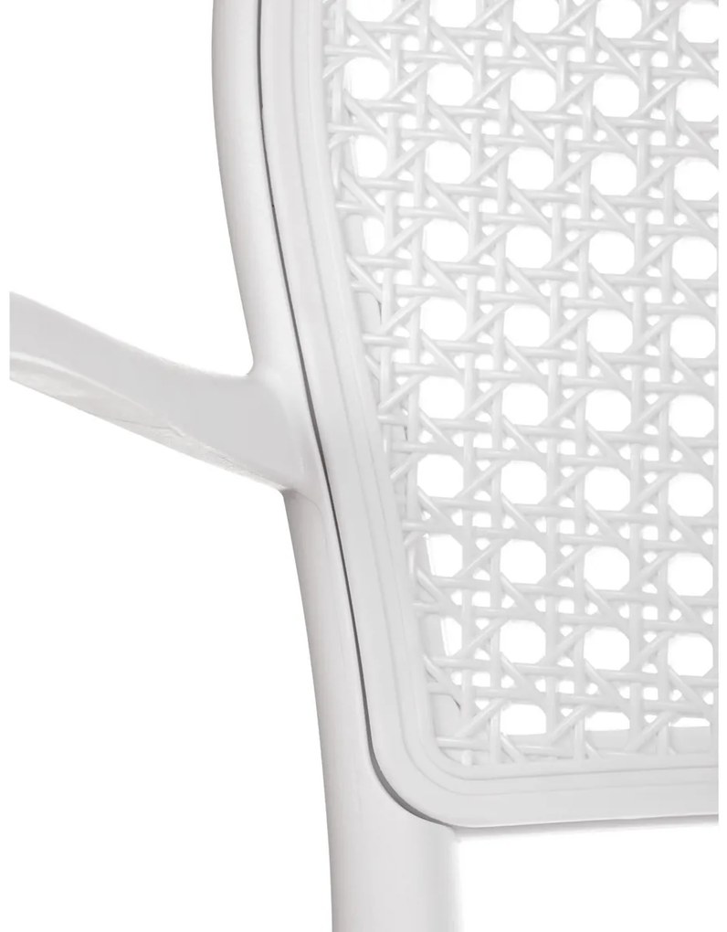 Set de scaune de sufragerie CT-746 WT, 4 buc