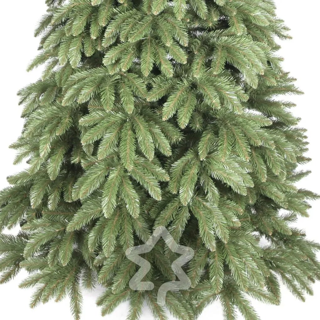 Molid Caucazian 2D 220 cm