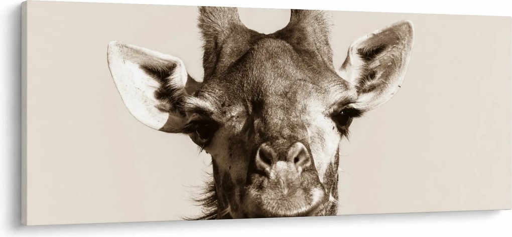 Tablou - Portret de girafă, de epocă (120x50 cm)