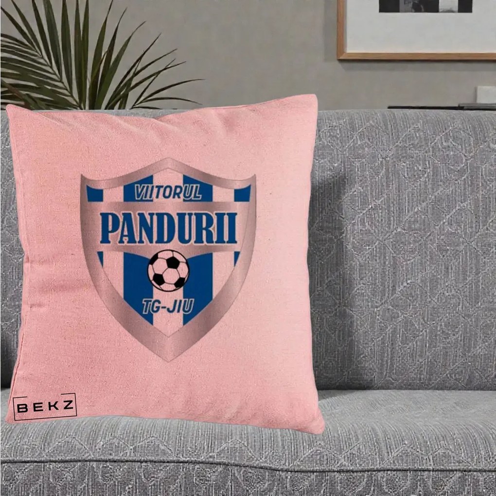 Perna Personalizata Pandurii Targu Jiu Fotbal, 40x40 cm, Roz, Husa Detasabila, Perna Inclusa, BEKZ®