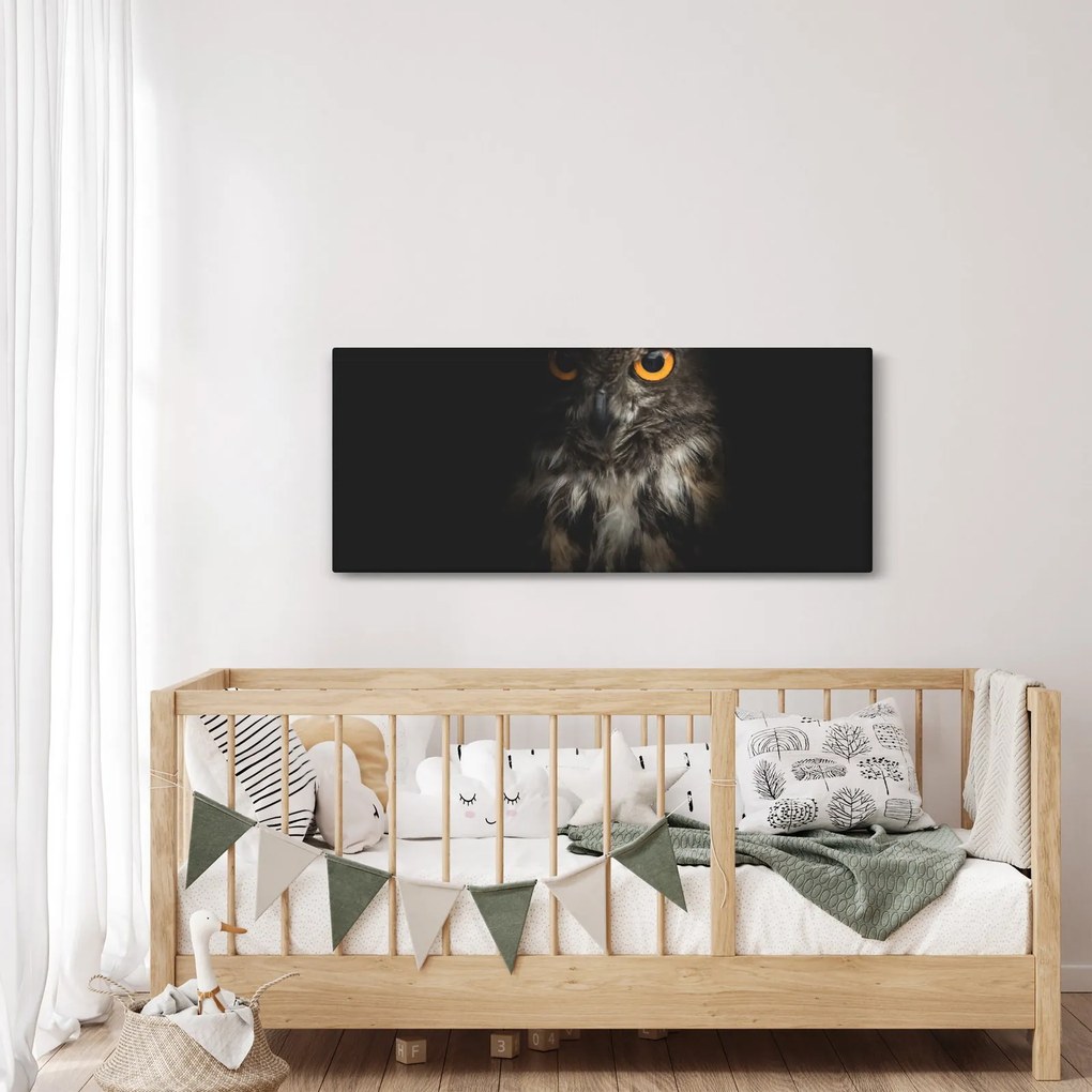 Tablou cu bufnița (120x50 cm)