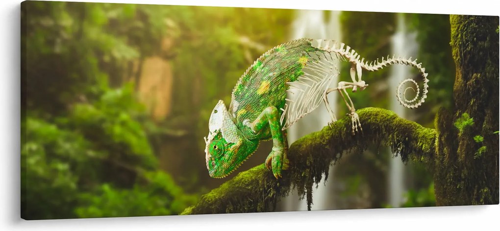 Tablou cu șopârlă (120x50 cm)