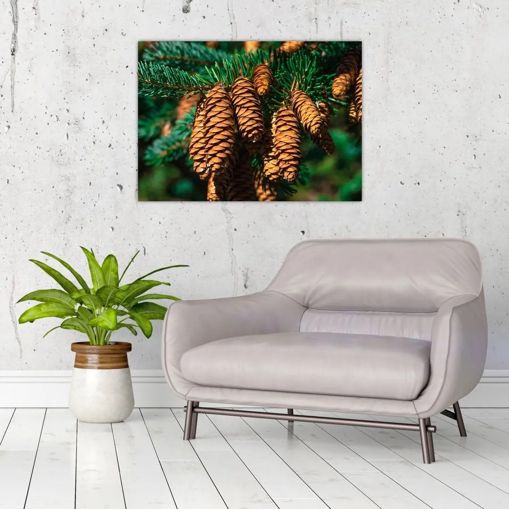 Tablou pe sticlă cu con de brad (70x50 cm)