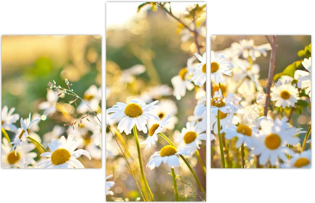 Tablou - Margarete (90x60 cm)