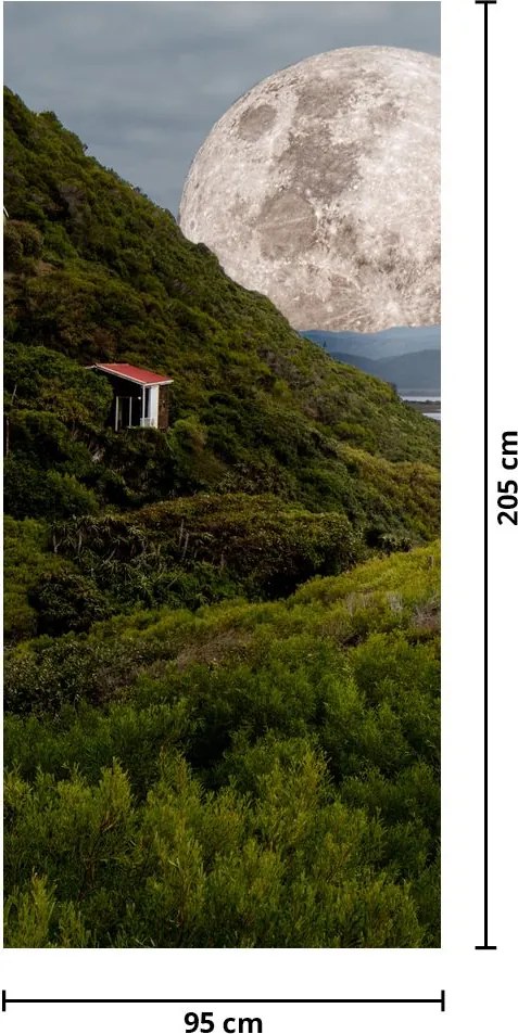 Fototapet pentru ușă - Peisaj cu lună (95x205cm)