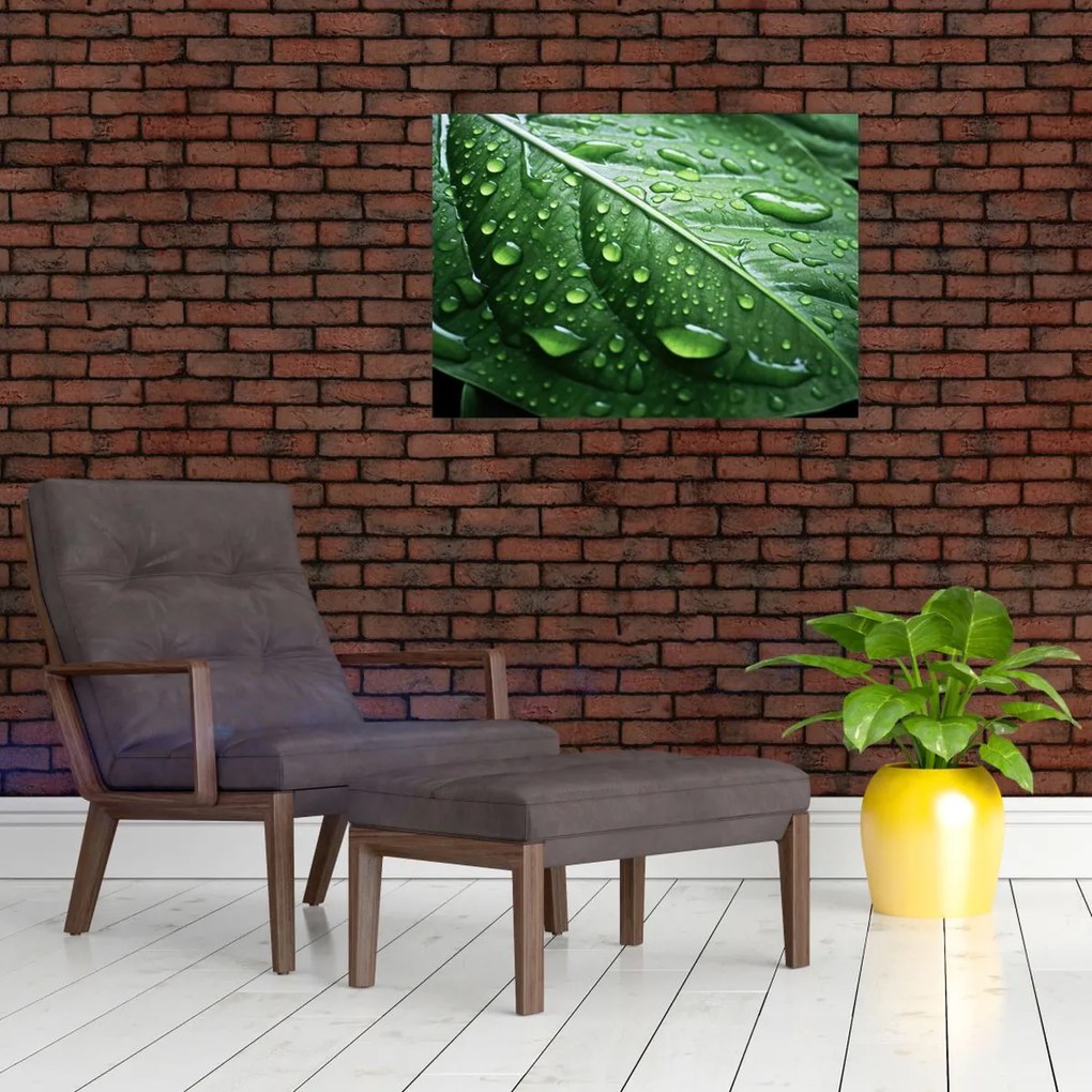 Tablou pe sticlă - Detaliu de frunze după ploaie (70x50 cm)