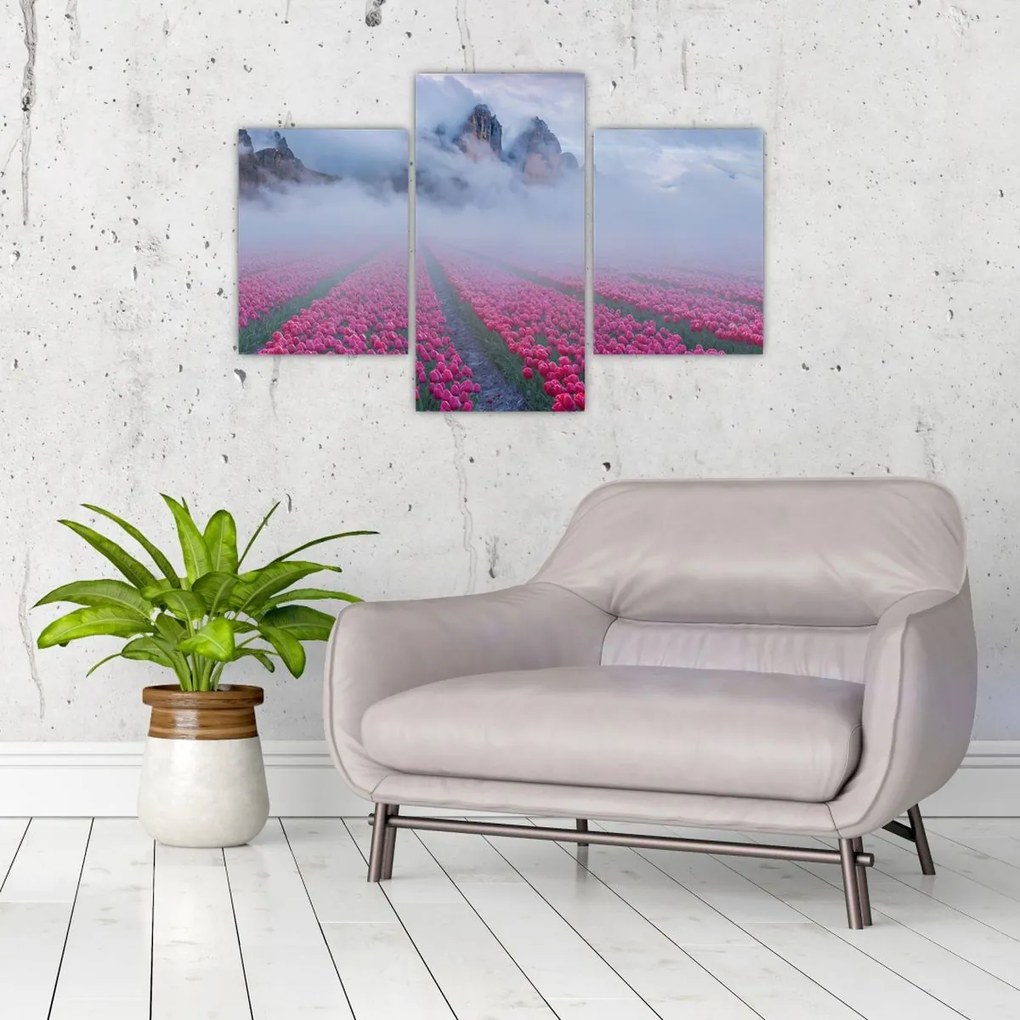 Tablou - Peisaj cu câmpuri de lalele (90x60 cm)