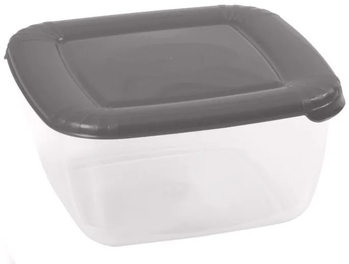 Recipient pentru Alimente  1.5L cu capac Albert Gri