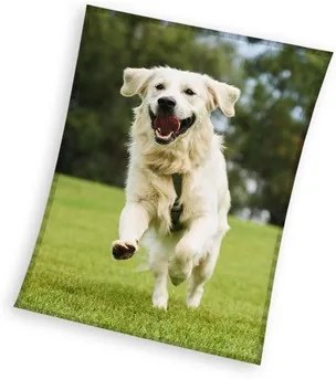 Câine Happytail Retriever plapumă din fleece coral 150x200cm