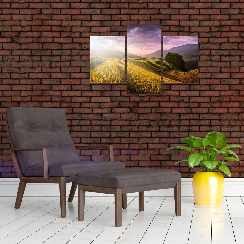 Tablou peisajului (90x60 cm)