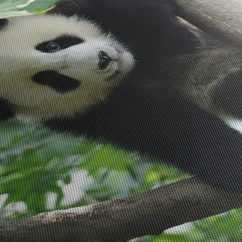 Tablou - Panda in copac (cu ceas) (90x30 cm)