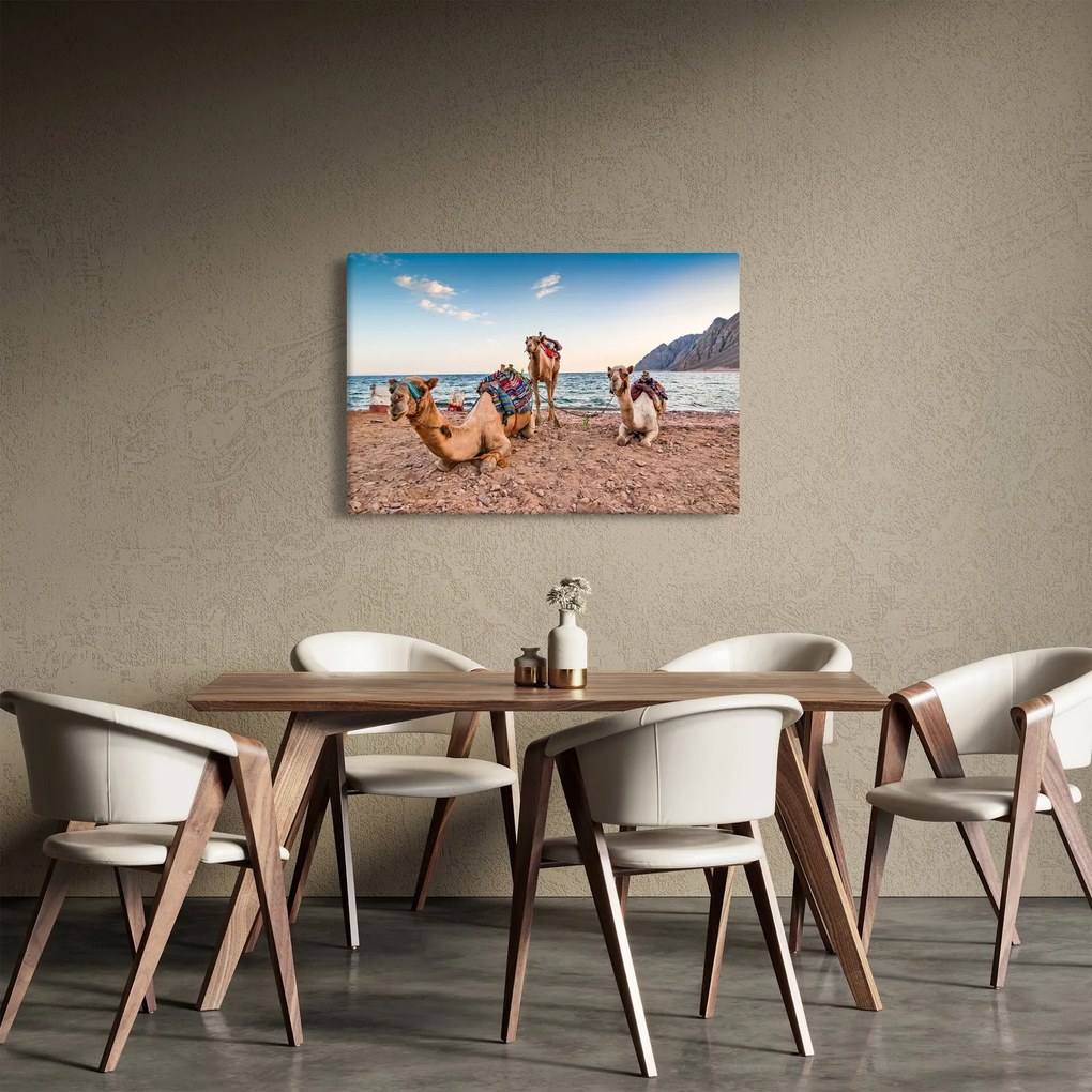 Tablou cu cămile (90x60 cm)