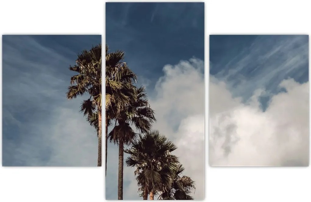 Tablou - Drama cu palmieri (90x60 cm)