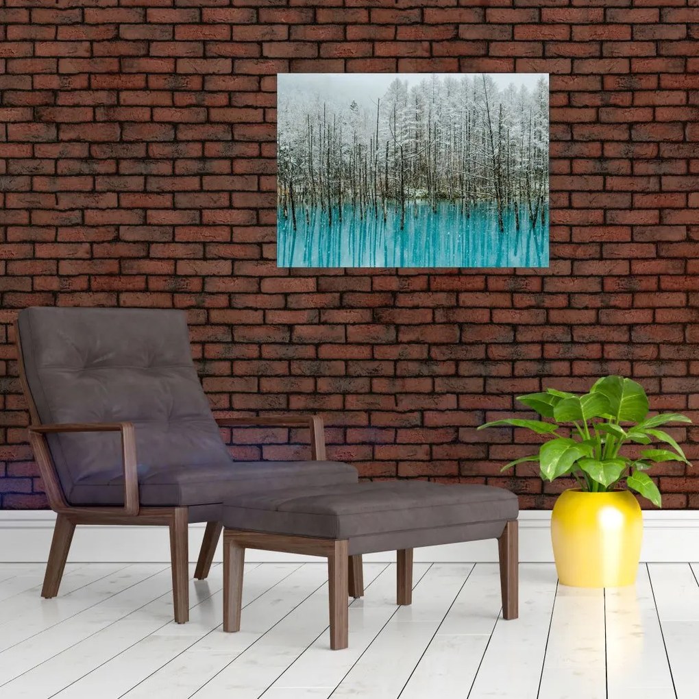 Tablou - Pescărie turcoaz, Biei, Japonia (70x50 cm)