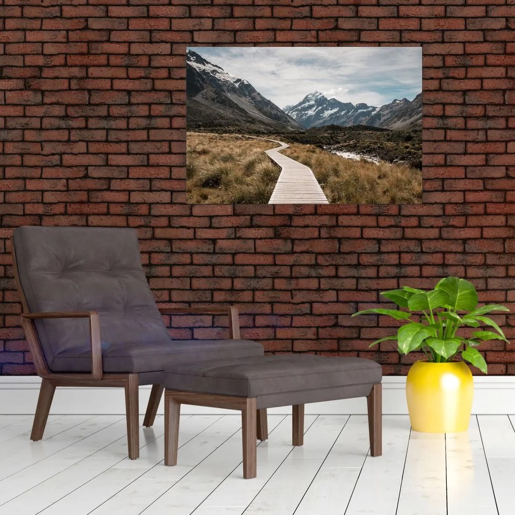 Tablou - Poteca în valea muntelui Mt. Cook (90x60 cm)