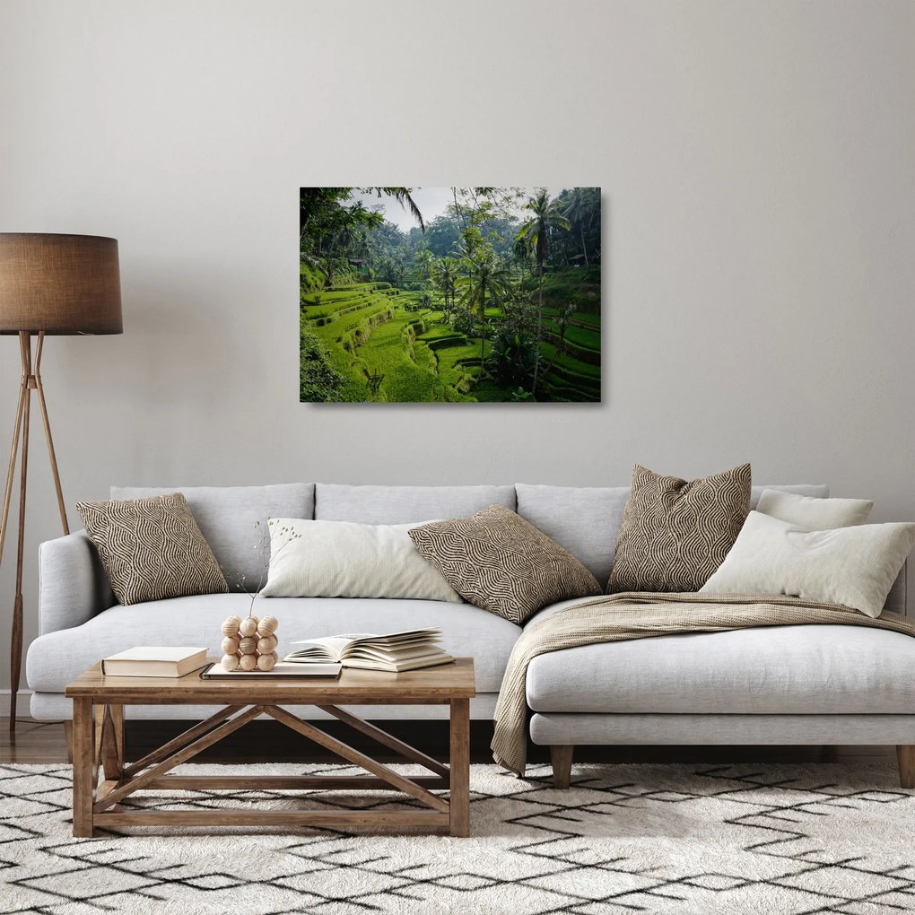Tablou pe sticlă cu terasele cu orez Tegalalang, Bali (70x50 cm)