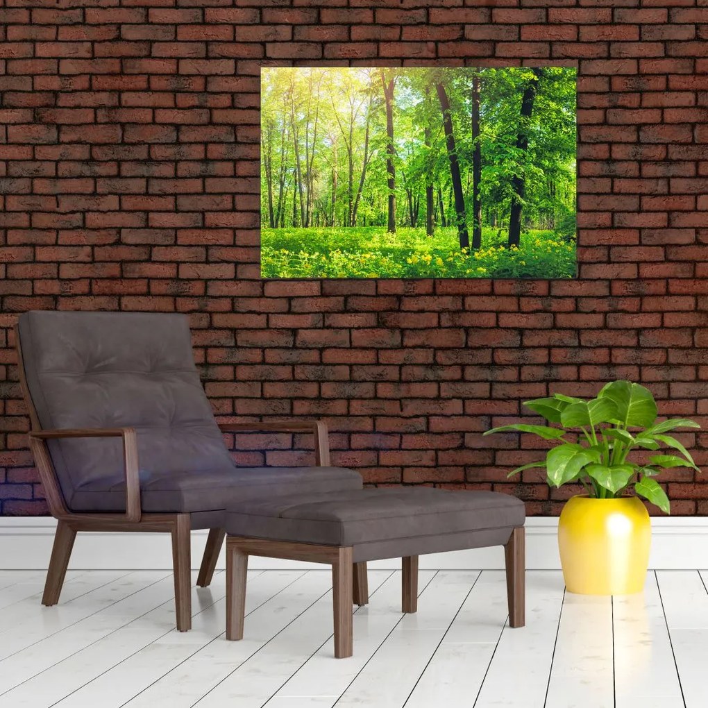 Tablou - Pădurea cu frunze de primăvară (90x60 cm)