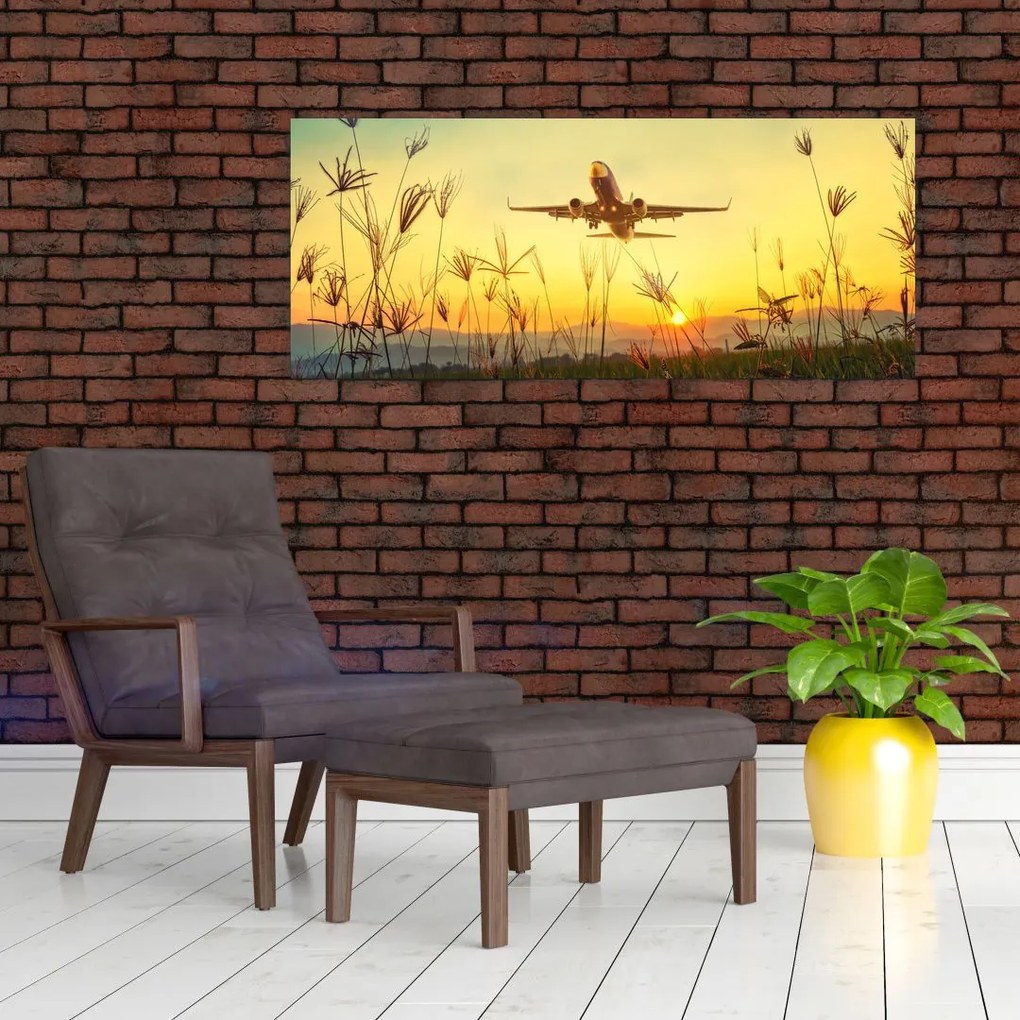 Tablou cu avionul ridicându-se spre zbor (120x50 cm)