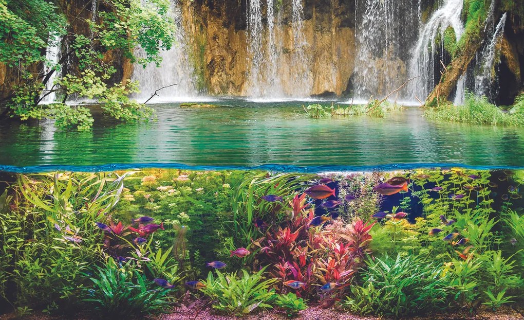 Fototapet - Plantele pești și cascada (254x184 cm)