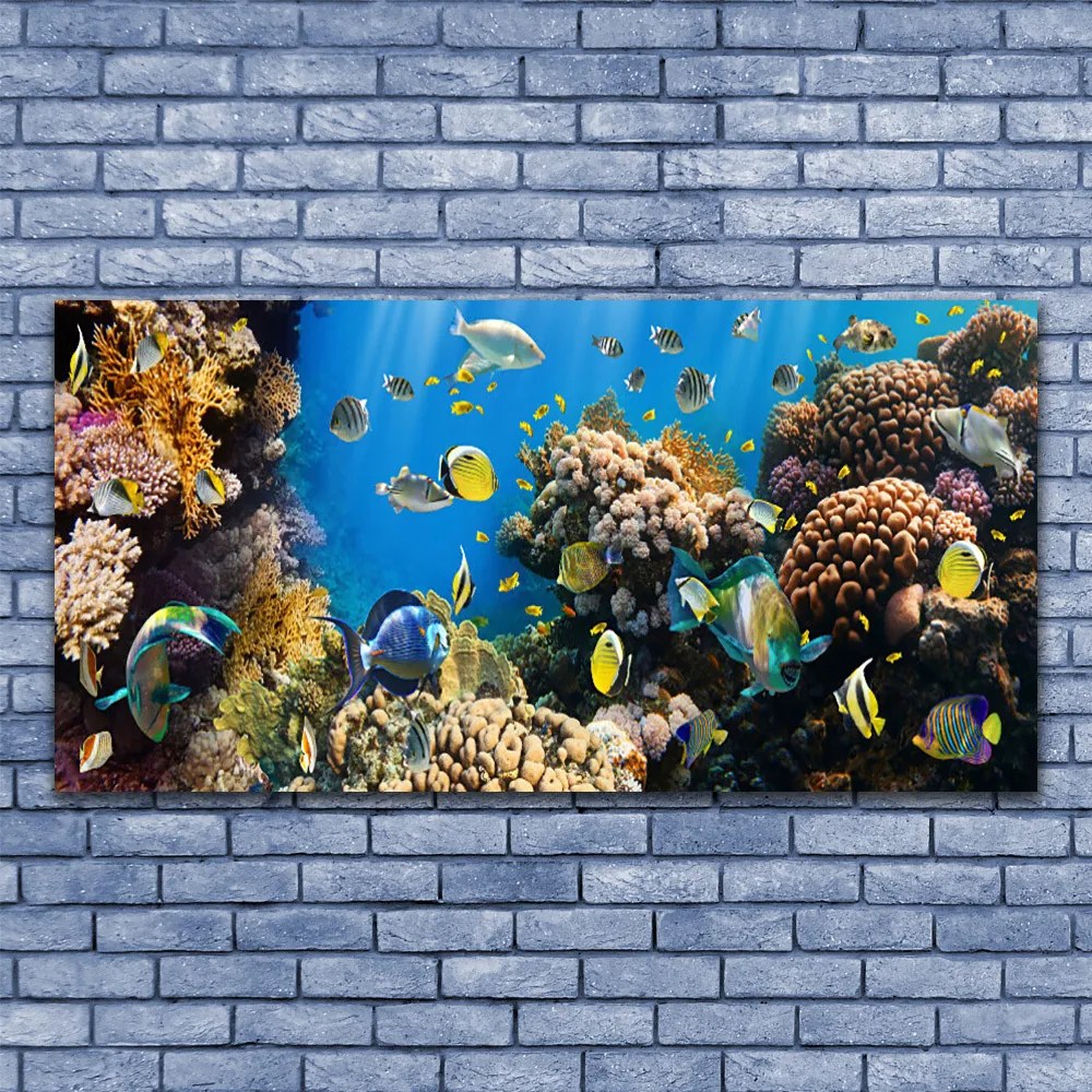 Tablou pe panza canvas Coral Reef Natura Multi