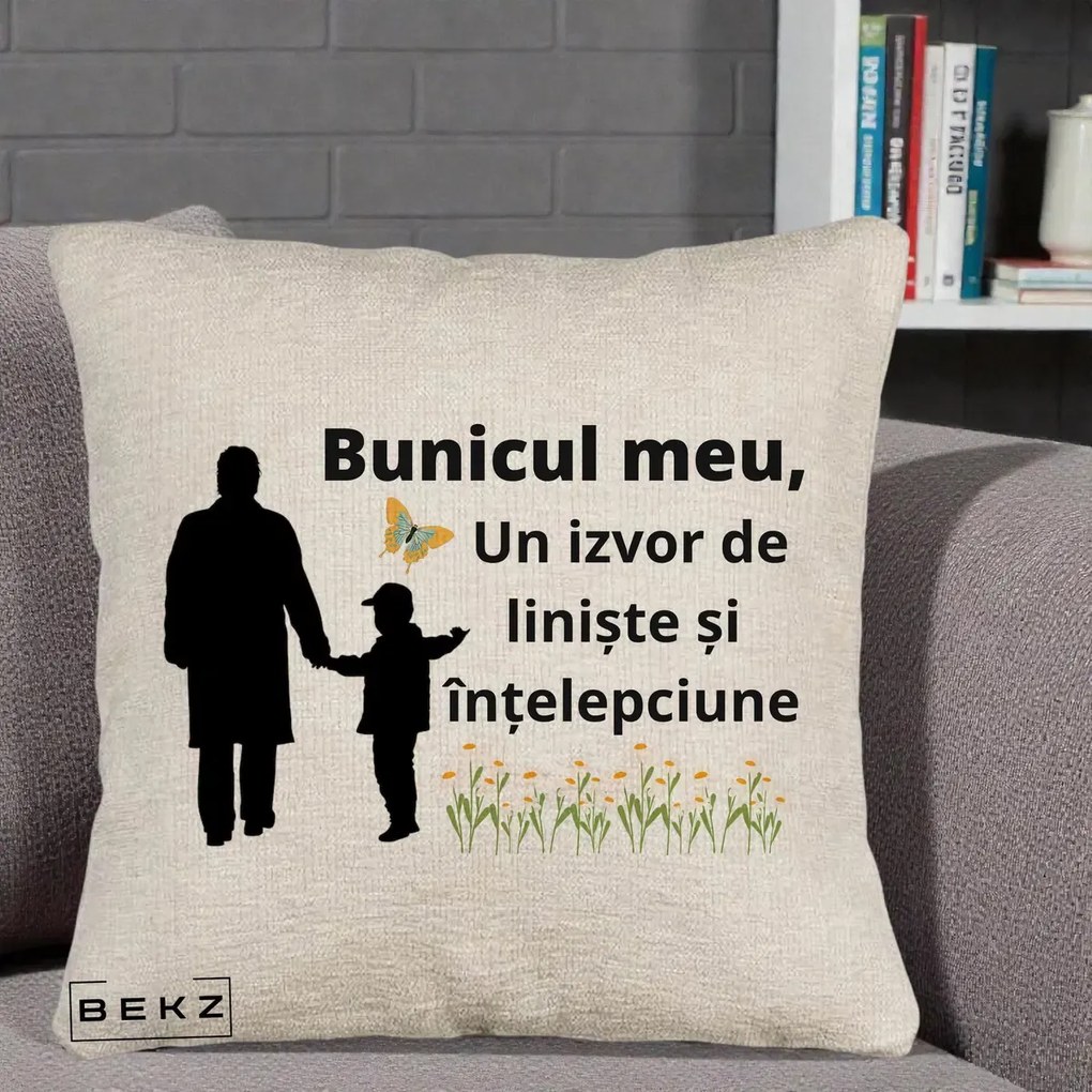 Cadou pentru Bunic - Perna Personalizata Bunicul Meu Izvor de Liniste cu Fluture si Baietel, 40x40 cm, Bej Canapea, Husa Detasabila, Perna Inclusa, BEKZ®