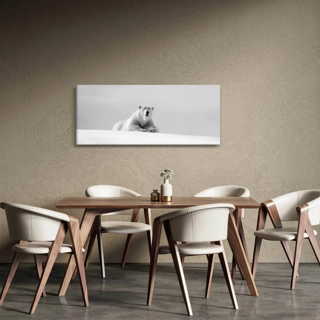 Tablou - Urs polar,alb-negru (120x50 cm)