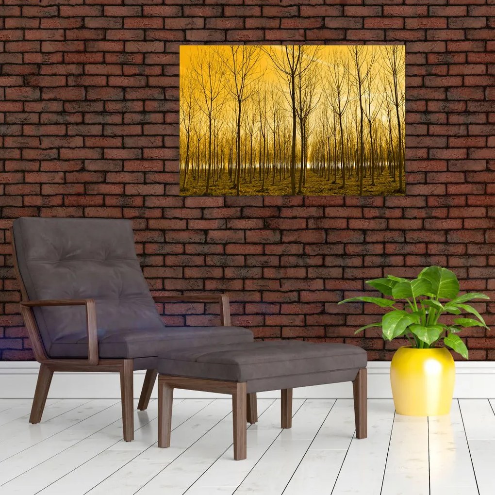 Tablou cu pădure în apus de soare (90x60 cm)