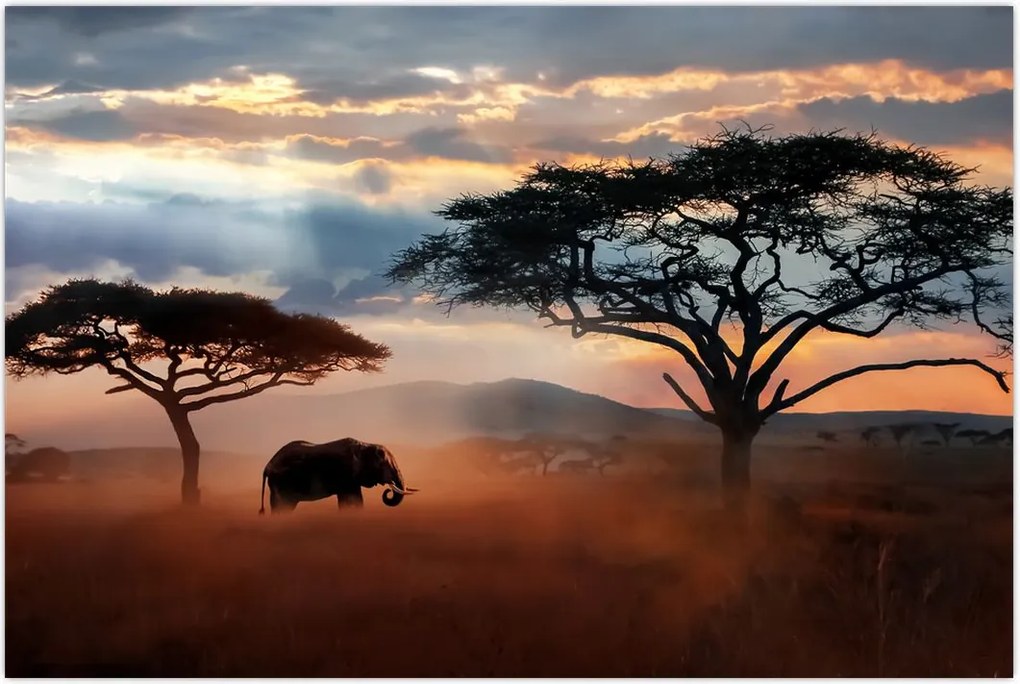 Tablou - Parcul Național Serengeti, Tanzania, Africa (90x60 cm)