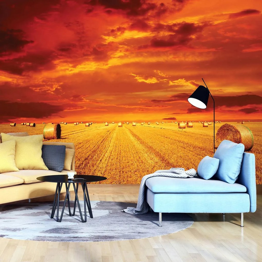 Fototapet - Câmp (152,5x104 cm)