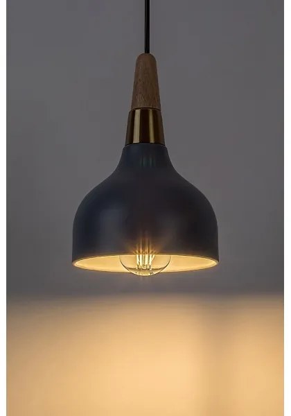 Lustră pe cablu Rabalux 72135 DRUSILLA 1xE27/40W/230V