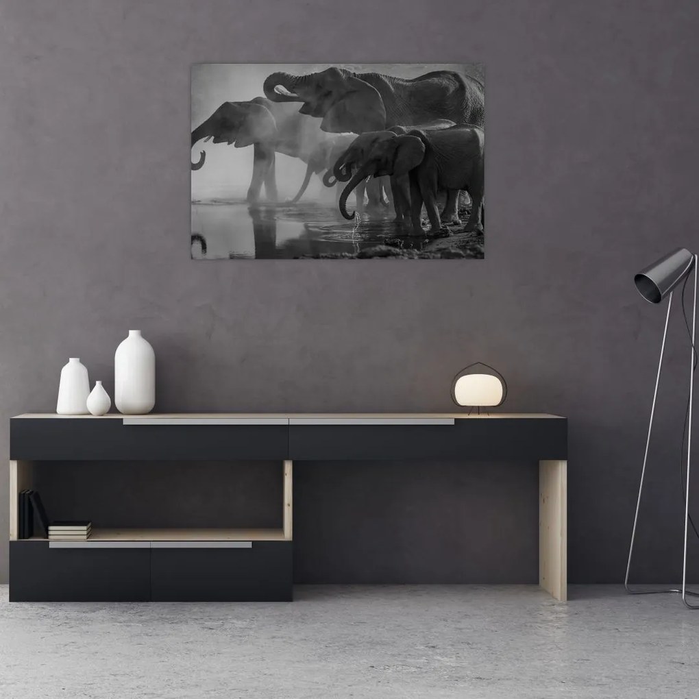 Tablou cu elefanți - albnegru (90x60 cm)