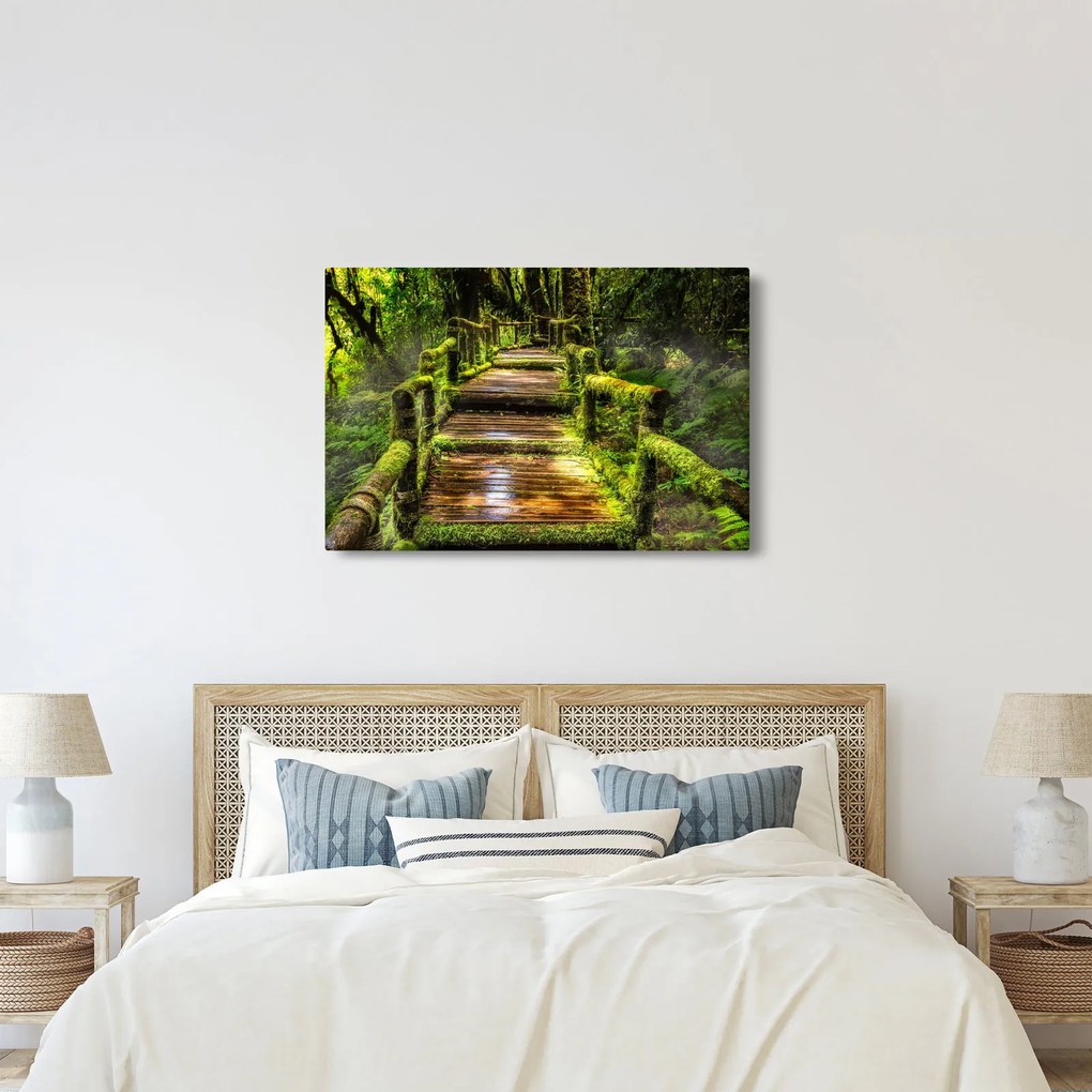 Tablou cu scări într-o pădure tropicală (90x60 cm)
