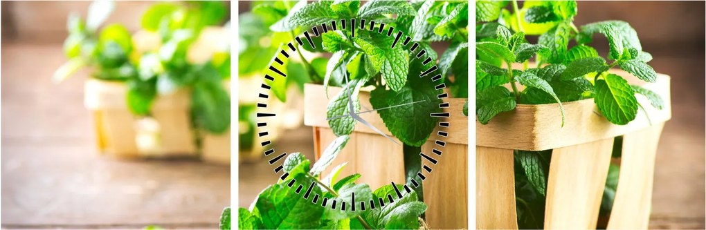 Tablou cu menta proaspătă (cu ceas) (90x30 cm)