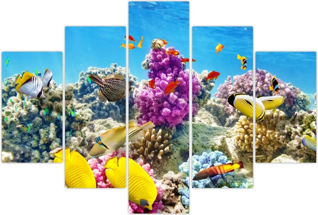 Tablou - Lumea mării (150x105 cm)