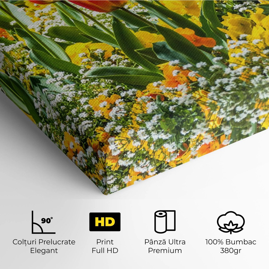 Tablou Canvas, 80x160cm, Dormitor si Living, Flori, Flori in natura, Colorful Tulips Garden