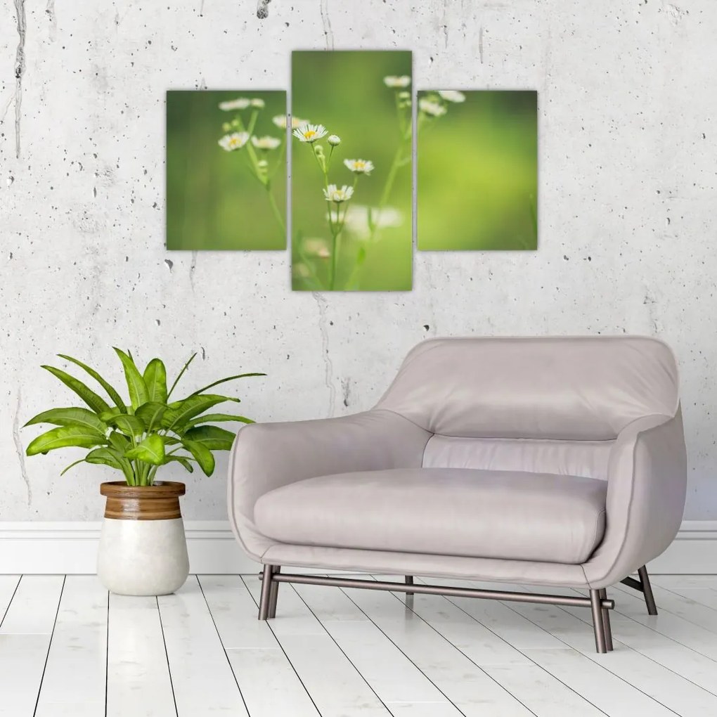 Tablou - Margarete (90x60 cm)