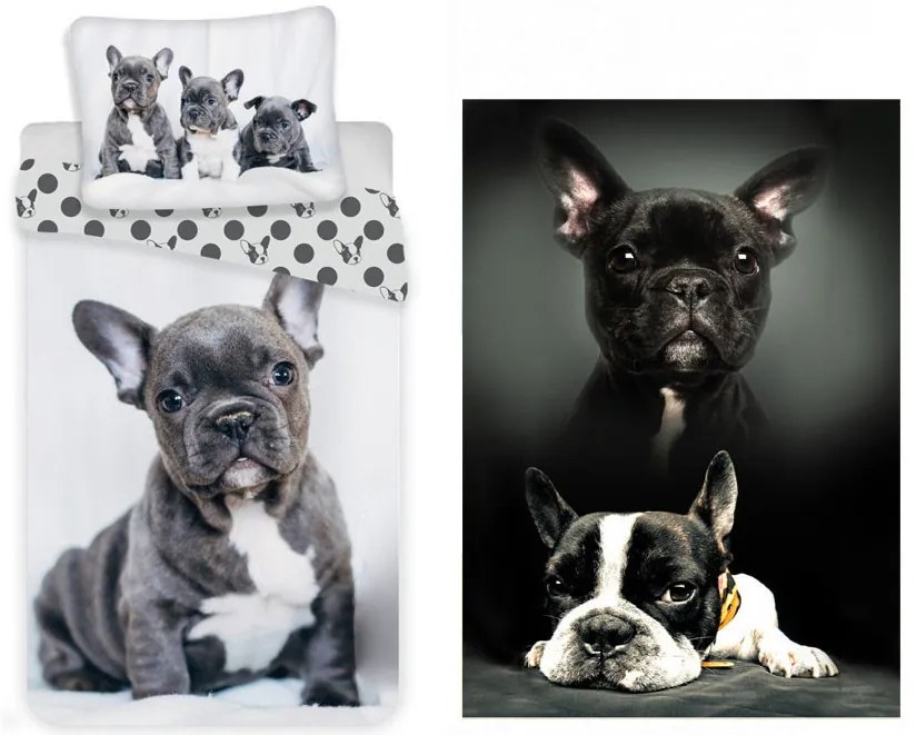 Câine French Bulldogs set de lenjerie de pat și pătură polar