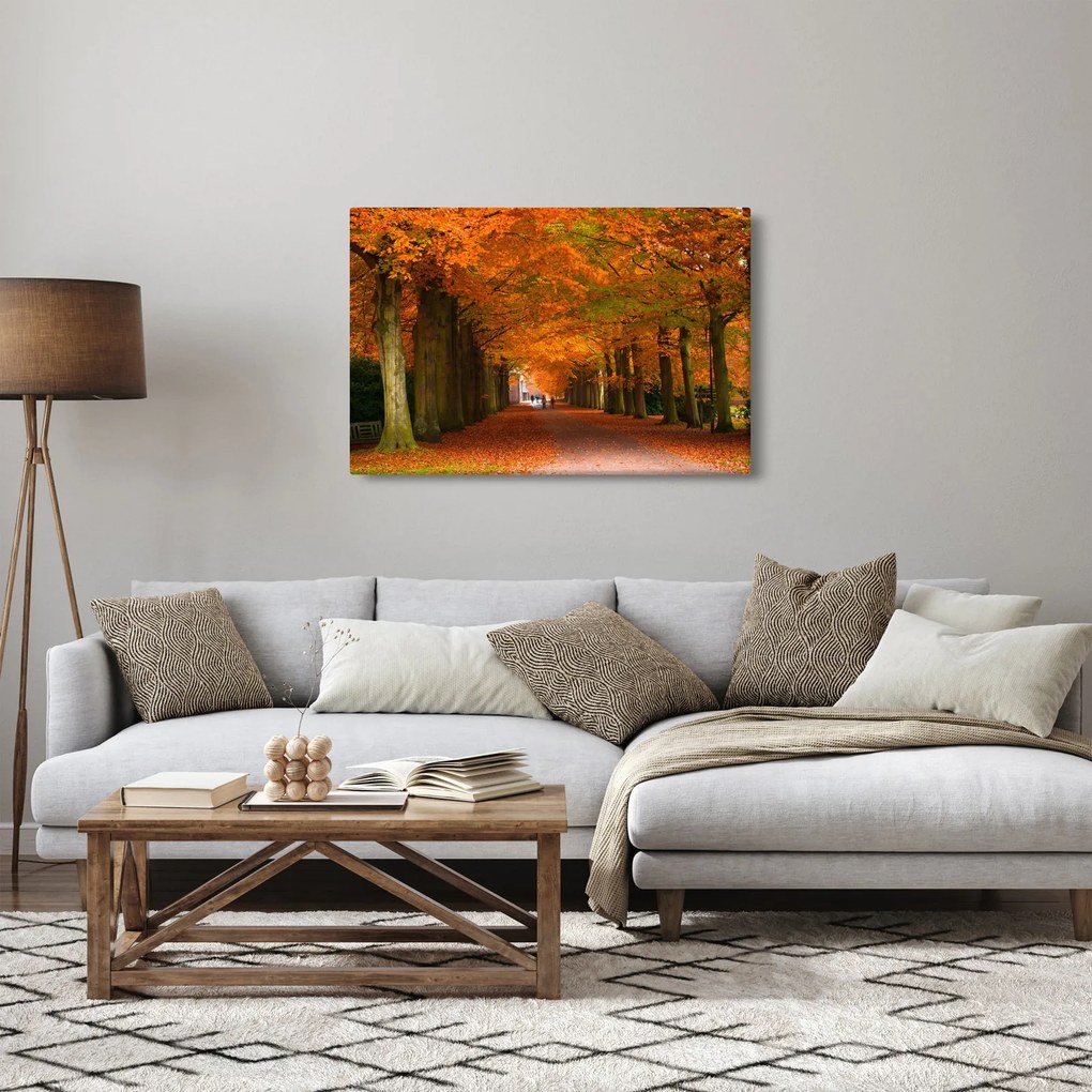 Tablou - Bulevardul de copaci în toamnă (90x60 cm)