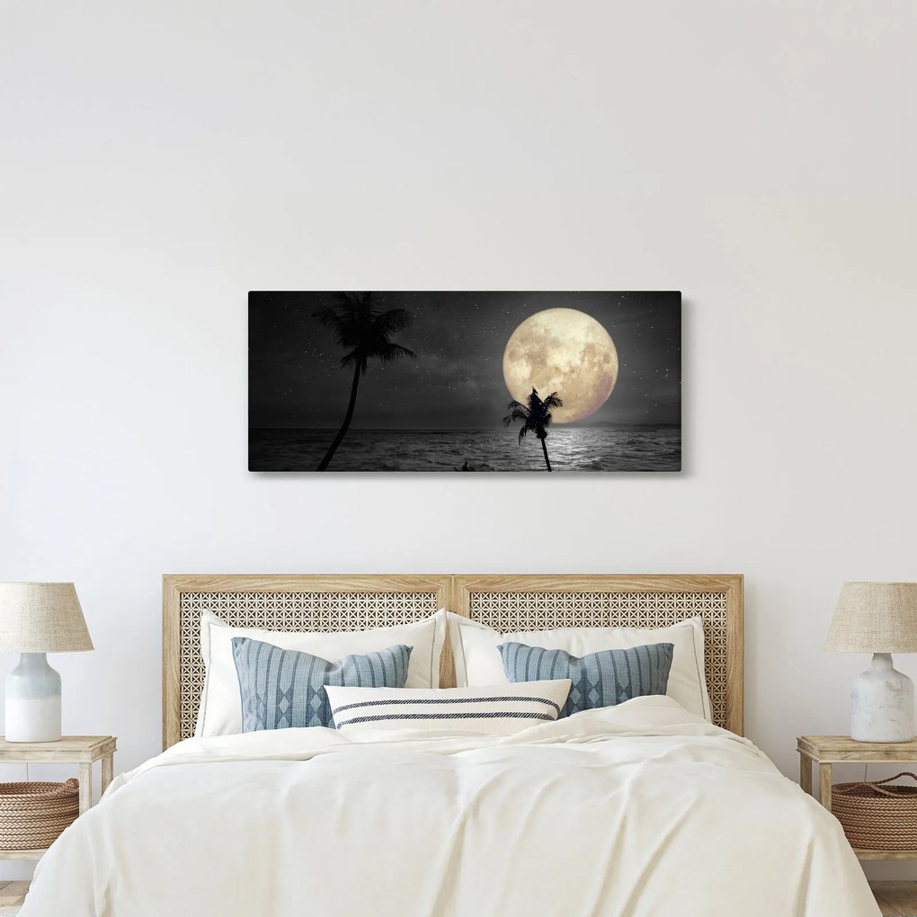 Tablou - Plaja cu lună plină, nuanțe gri (120x50 cm)