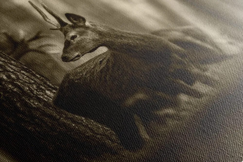 Tablou cerbul în pădure de pini în sepia