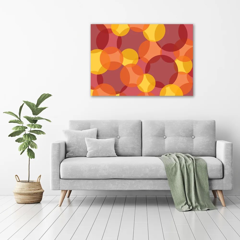 Tablou canvas Cercuri colorate