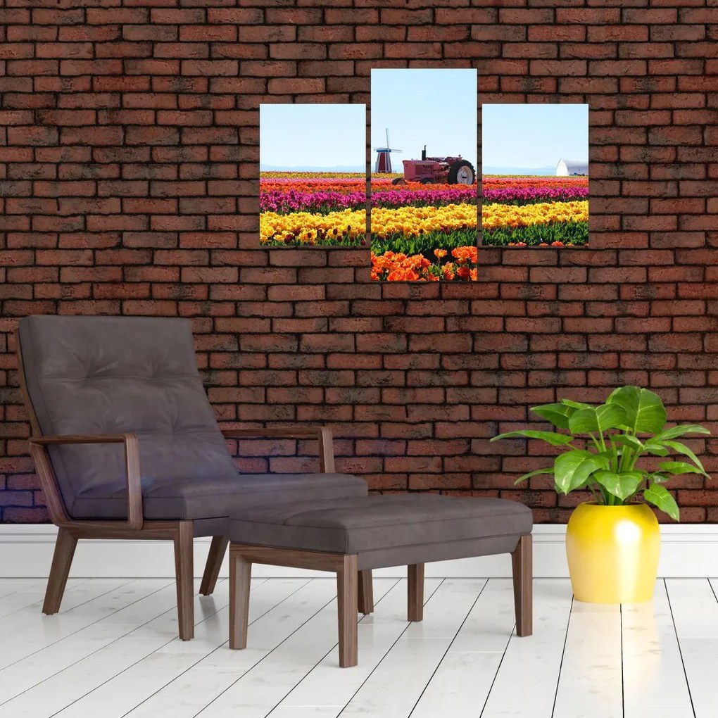 Tablou cu farma de lalele (90x60 cm)