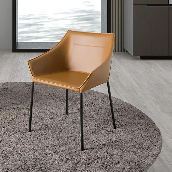 Scaun deosebit design LUX Brown