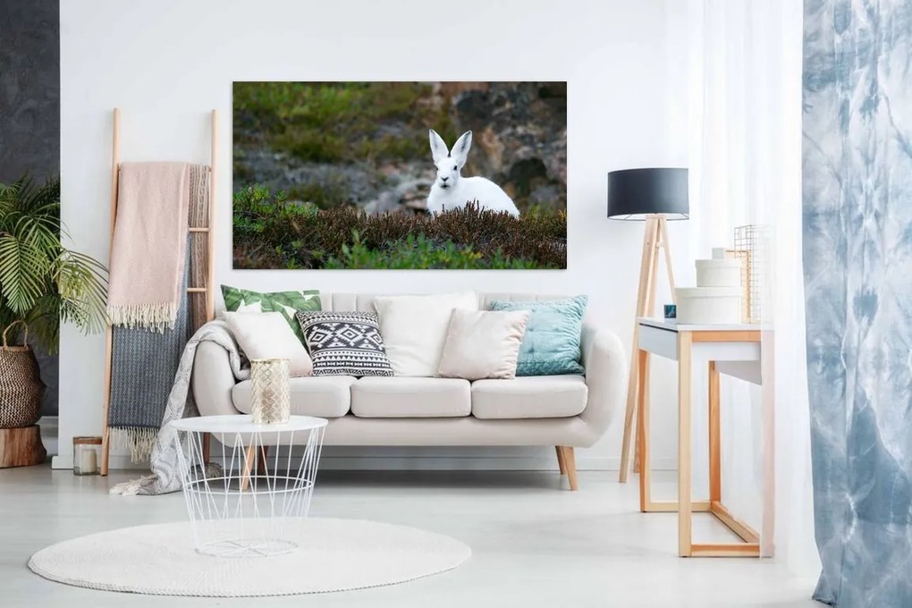 Tablou canvas iepure - 150x100cm