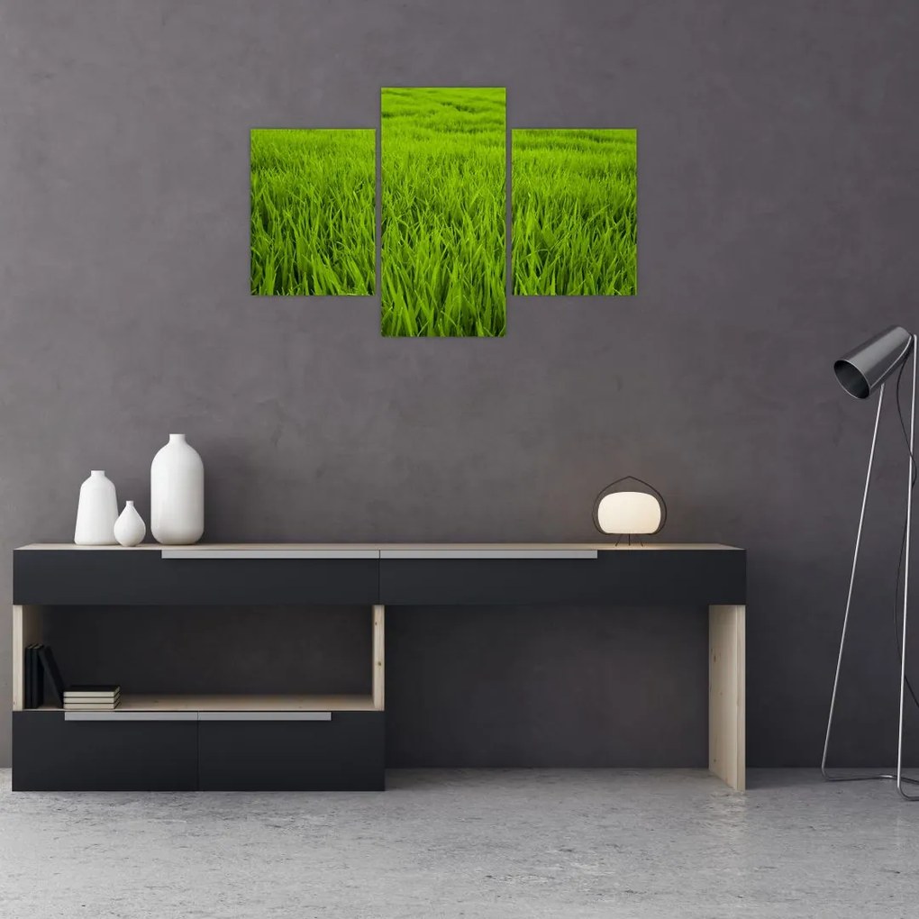 Tablou cu iaraba (90x60 cm)