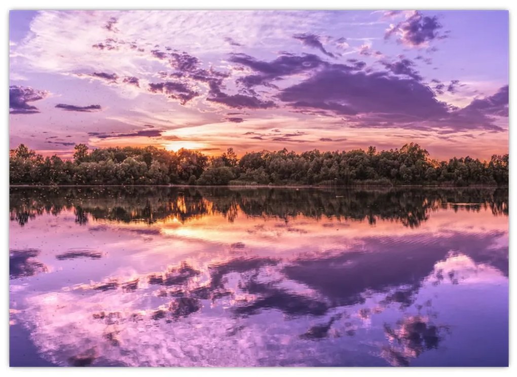 Tablou cu cerul violet (70x50 cm)